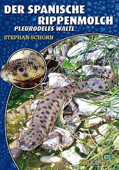 Der Spanische Rippenmolch