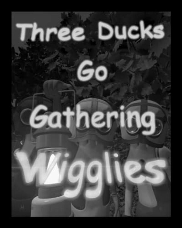 Three Ducks Go Gathering Wigglies