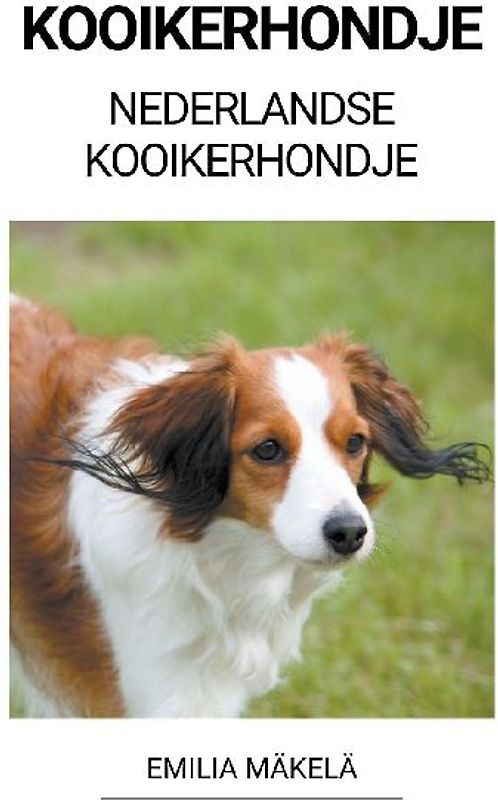 Kooikerhondje (Nederlandse Kooikerhondje)