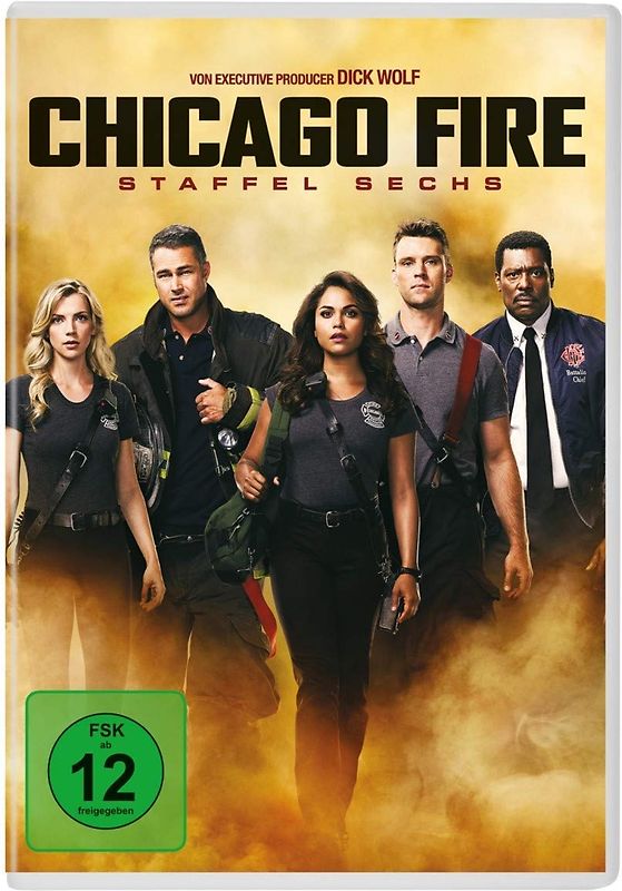 Chicago Fire - Staffel sechs [6 DVDs] DVD