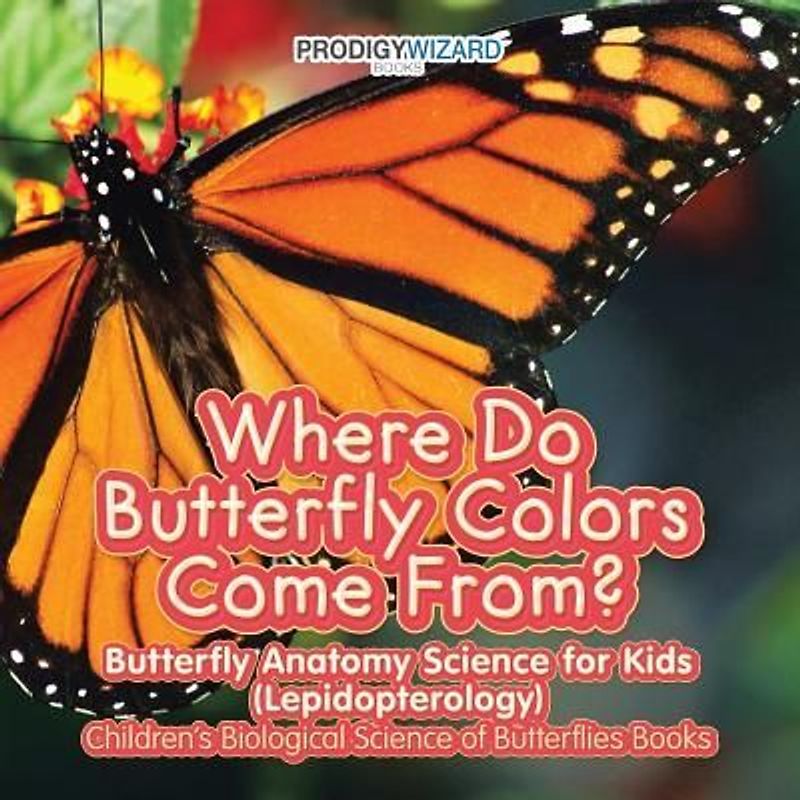 Where Do Butterfly Colors Come From? - Butterfly Anatomy Science for Kids (Lepidopterology) - Children's Biological Science of Butterflies Books
