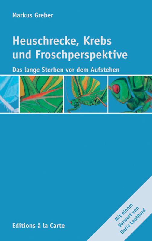 Heuschrecke, Krebs und Froschperspektive