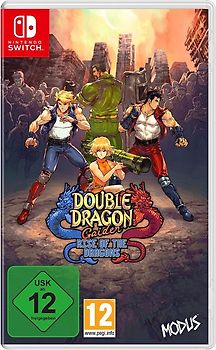 Double Dragon Gaiden: Rise of the Dragons Nintendo Switch