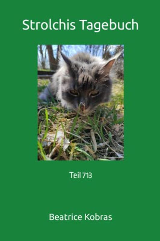 Strolchis Tagebuch: Teil 713