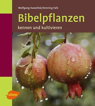 Bibelpflanzen