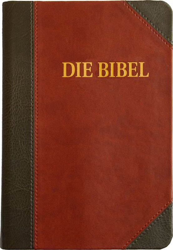 Schlachter 2000 Bibel - Großdruckausgabe (Softcover, grau/braun)