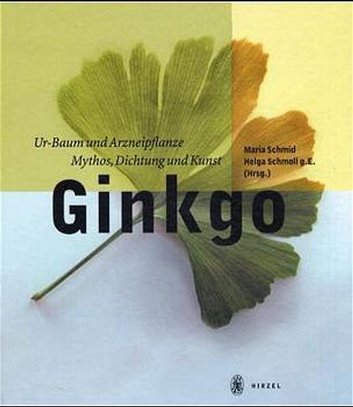 Ginkgo