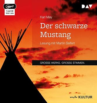 Der schwarze Mustang