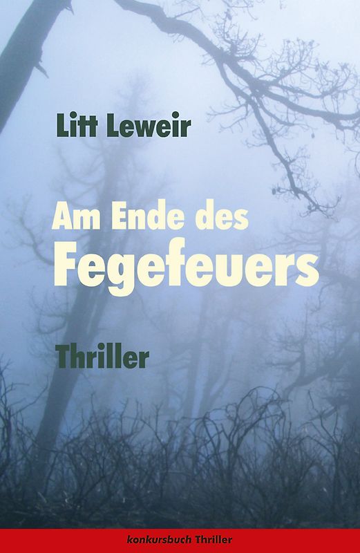Am Ende des Fegefeuers. Thriller