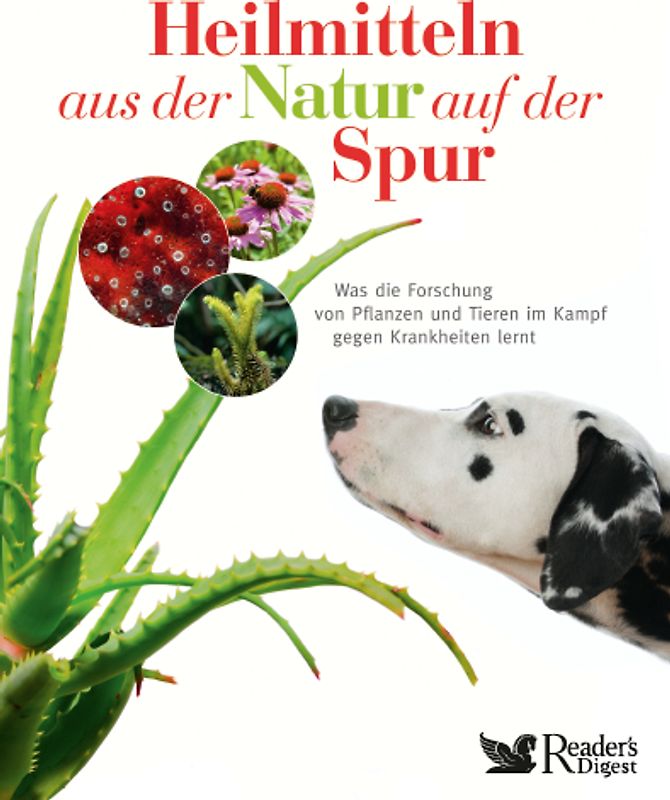 Heilmitteln aus der Natur auf der Spur
