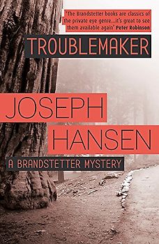 Troublemaker: Dave Brandstetter Investigation 3