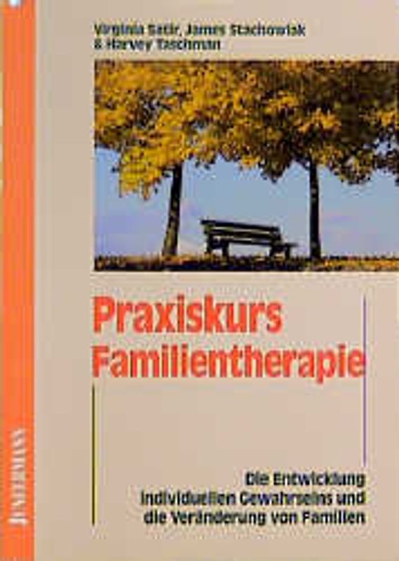 Praxiskurs Familientherapie