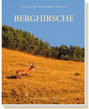 Berghirsche