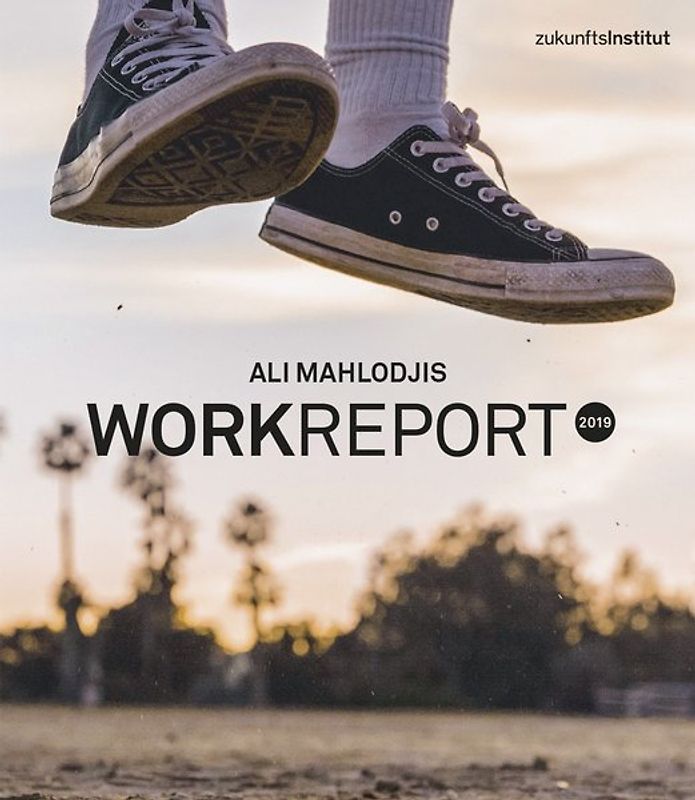 Work Report 2019