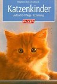 Katzenkinder. Aufzucht, Pflege, Erziehung