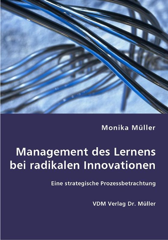 Management des Lernens bei radikalen Innovationen