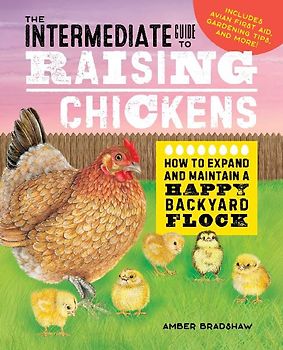 The Intermediate Guide to Raising Chickens