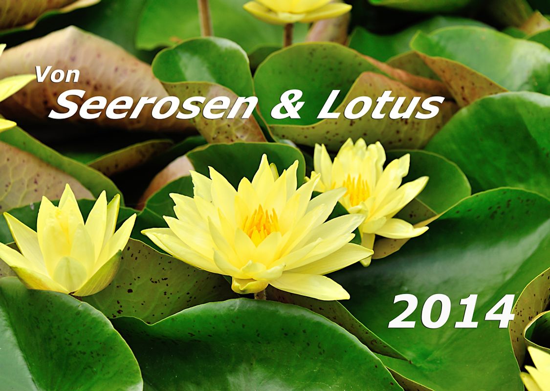 Seerosen und Lotus 2014 Kalender (DIN A3)