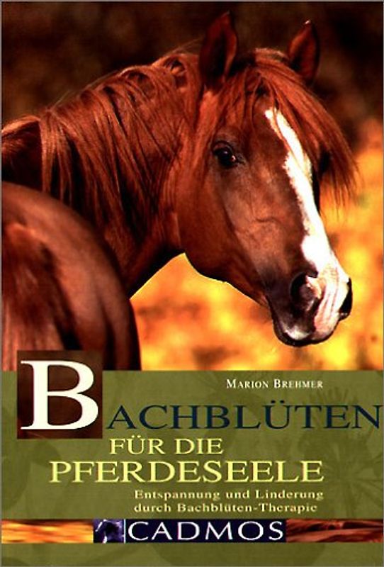 Bachblüten für die Pferdeseele
