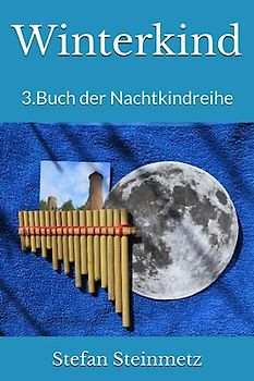 Winterkind: 3.Buch der Nachtkindreihe