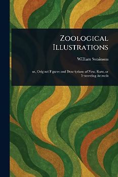 Zoological Illustrations