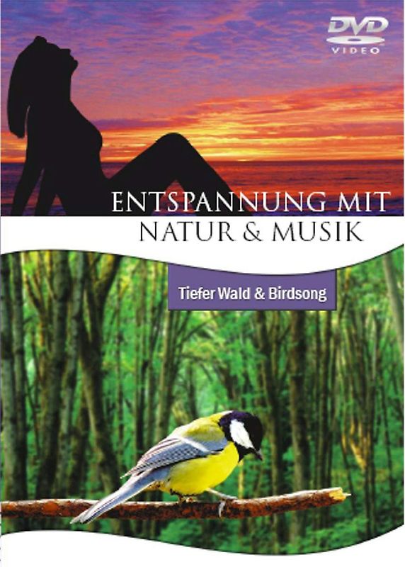 Entspannung mit Natur & Musik: Tiefer Wald & Birdsong
