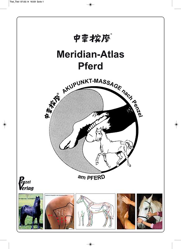 Akupunkt-Massage nach Penzel am Pferd