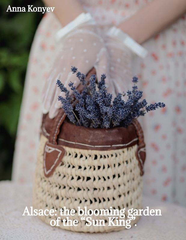 Alsace: the blooming garden of the “Sun King”.