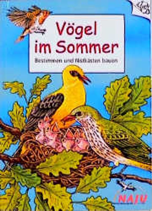 Vögel im Sommer
