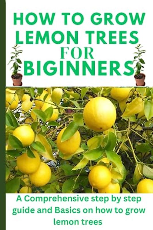 How to grow lemon trees for beginners: A Comprehensive step by step guide and Basics on how to grow lemon trees