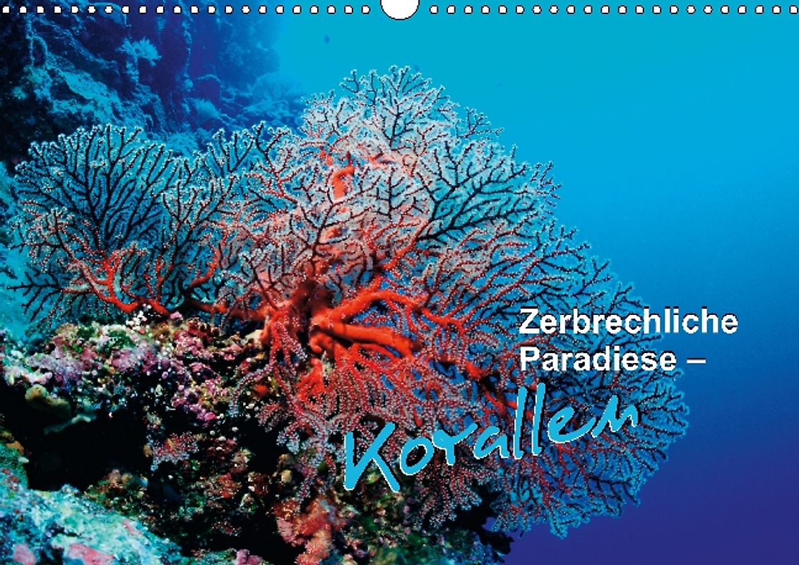 Zerbrechliche Paradiese – Korallen (Posterbuch DIN A4 quer)