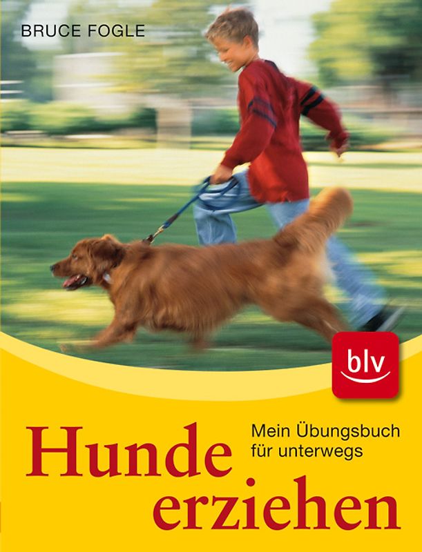 Hunde erziehen