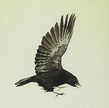 Feeder - Silent Cry (Deluxe Edition)