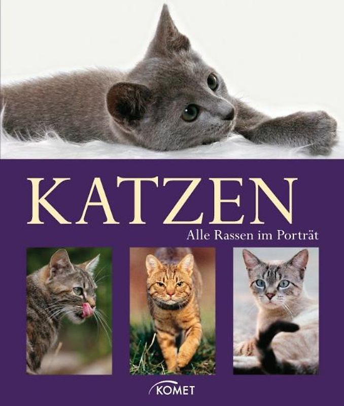 Katzen