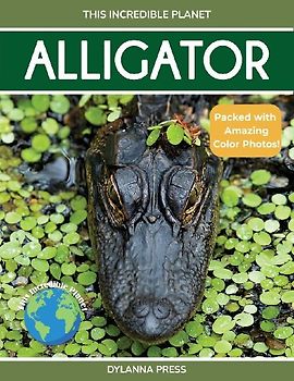 Alligator