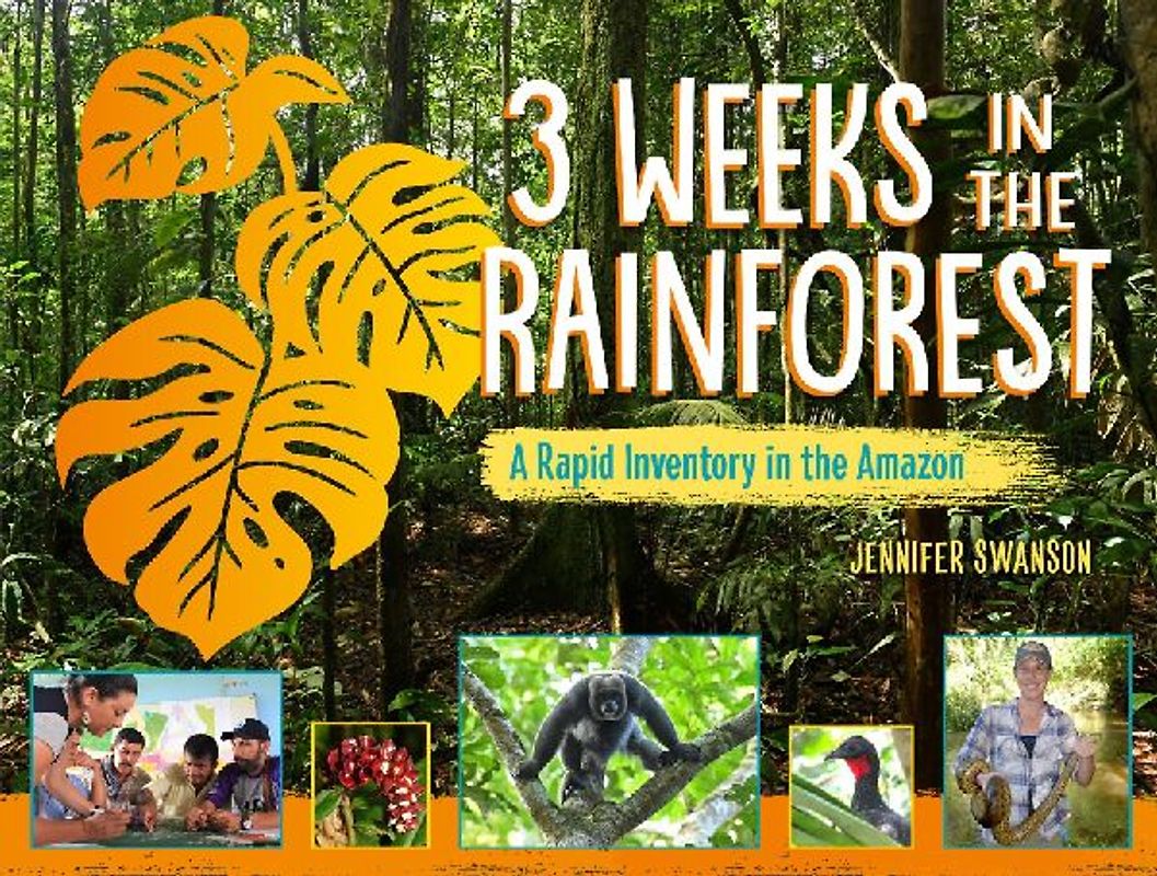 3 Weeks in the Rainforest