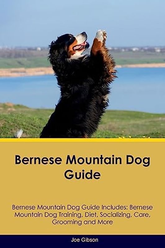 Bernese Mountain Dog Guide Bernese Mountain Dog Guide Includes: Bernese Mountain Dog Training, Diet, Socializing, Care, Grooming, and More
