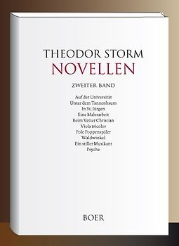 Novellen Band 2