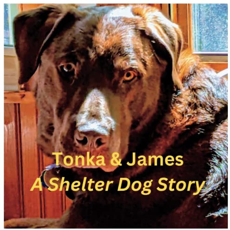 Tonka: A Shelter Dog's Story: Twice Homeless, Twice Rescued!