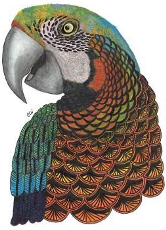 Tangleeasy Lined Journal Parrot