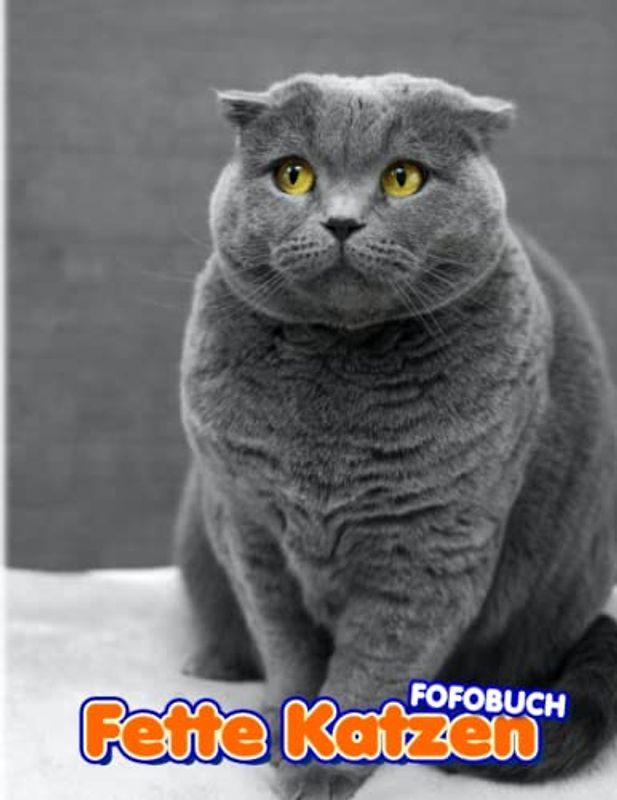 Fette Katzen Fotobuch: "Adorable Cat & Kittens Colorful Pages For All Ages Relaxation And Stress Relief | Ideal Gift For Special Occasions"