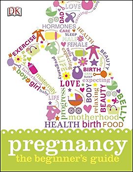Pregnancy: The Beginner's Guide
