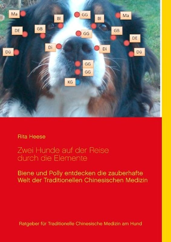 Zwei Hunde auf der Reise durch die Elemente. Biene und Polly entdecken die zauberhafte Welt der Traditionellen Chinesischen Medizin