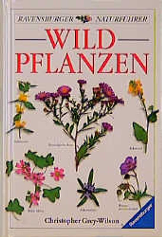 Wildpflanzen