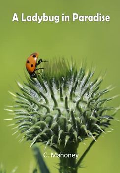 A Ladybug in Paradise