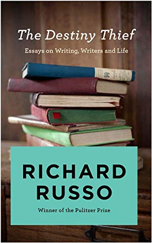The Destiny Thief: Essays on Writing, Writers and Life