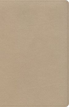 Holy Bible: Csb Personal Size Reference Bible, Gold Leathertouch