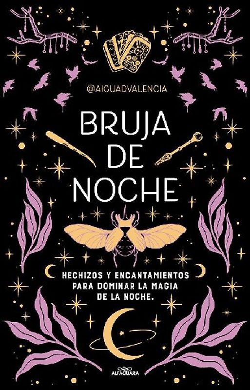 Bruja de Noche: Hechizos Y Encantamientos Para Dominar La Magia de la Noche / Night Witch: Spells and Enchantments