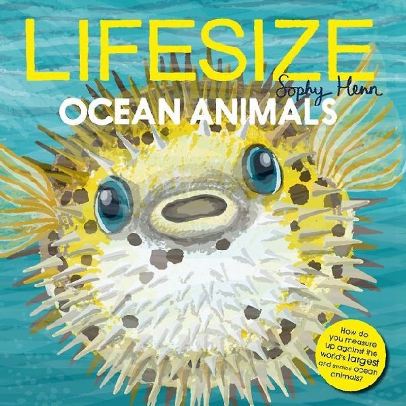 Lifesize Ocean Animals