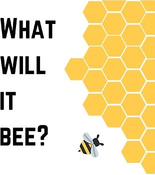 Baby shower guest book (Hardcover)